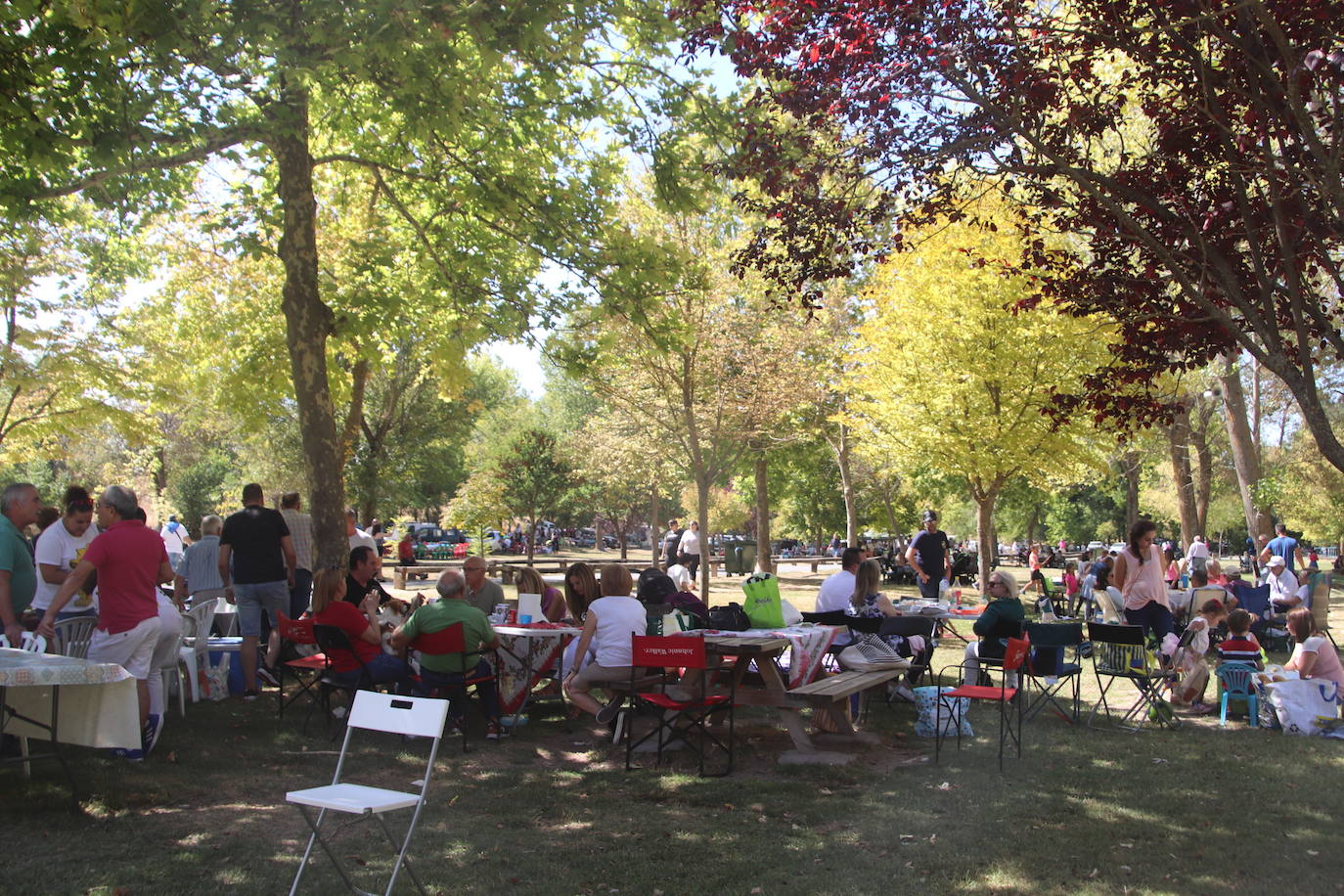 Miles de personas, este domingo en la romería de la Virgen del Henar.