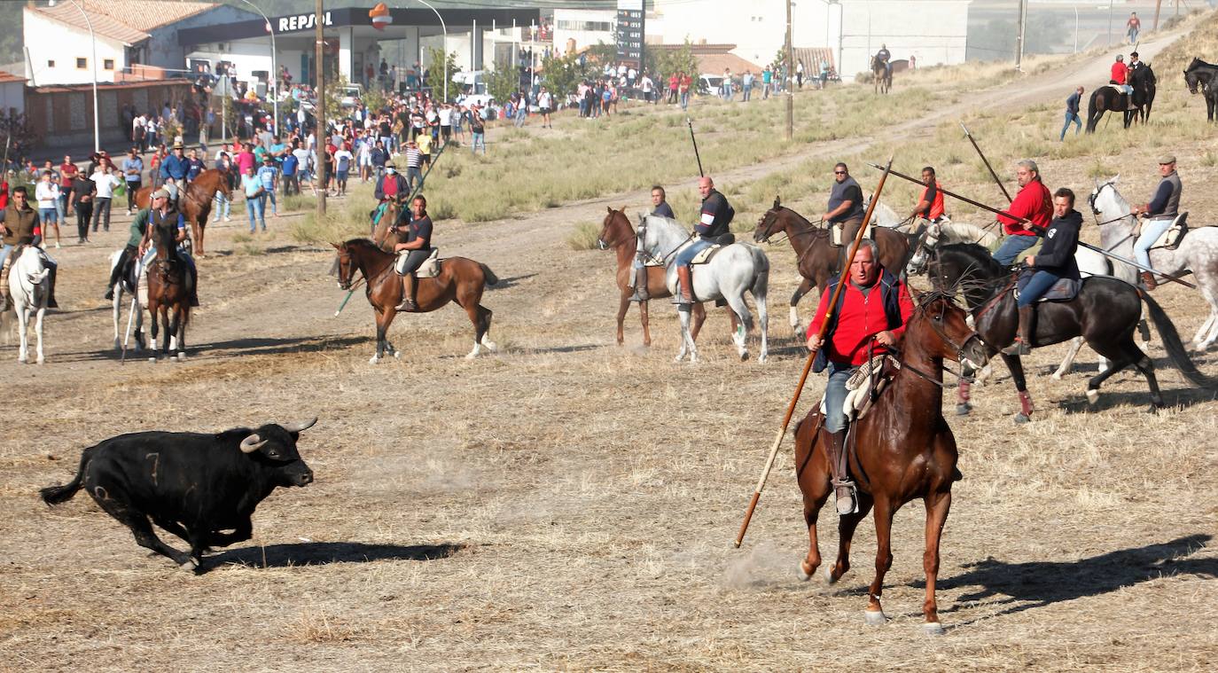 Fotos: Las fiestas de Portillo se despiden con el último encierro mixto