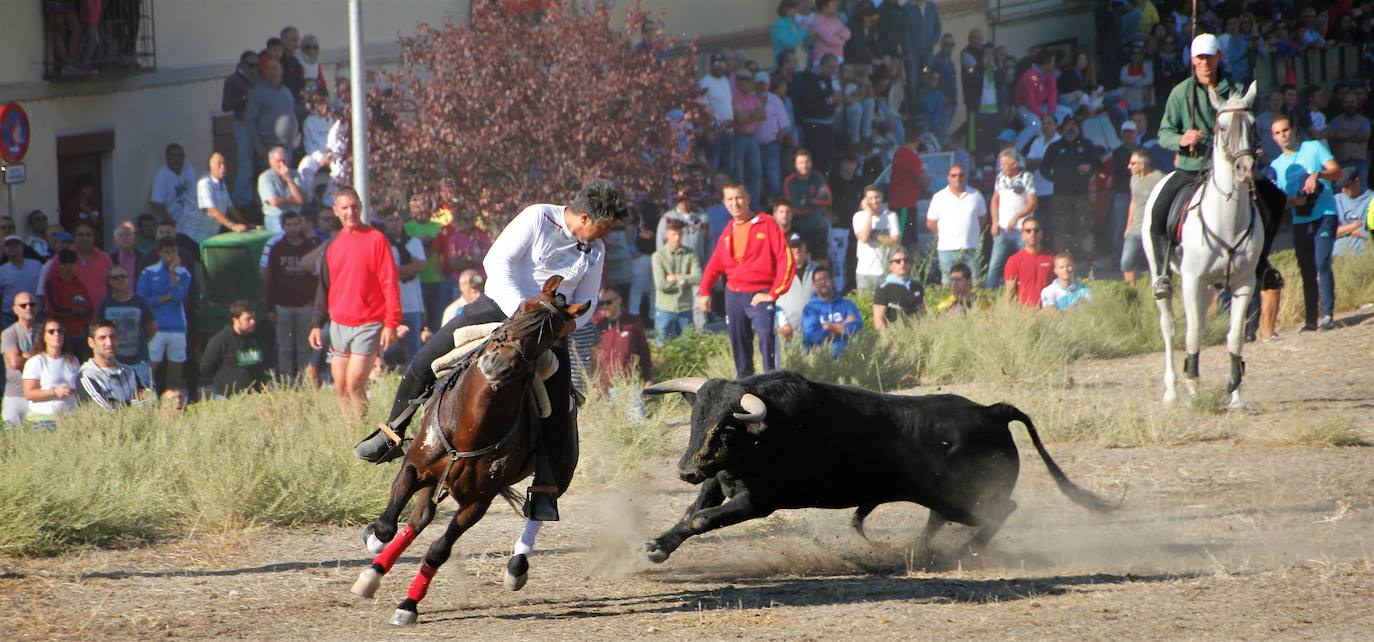 Fotos: Las fiestas de Portillo se despiden con el último encierro mixto