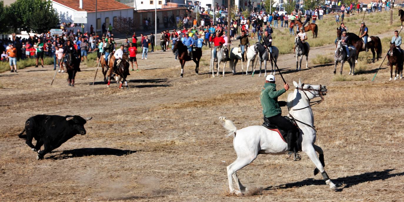 Fotos: Las fiestas de Portillo se despiden con el último encierro mixto