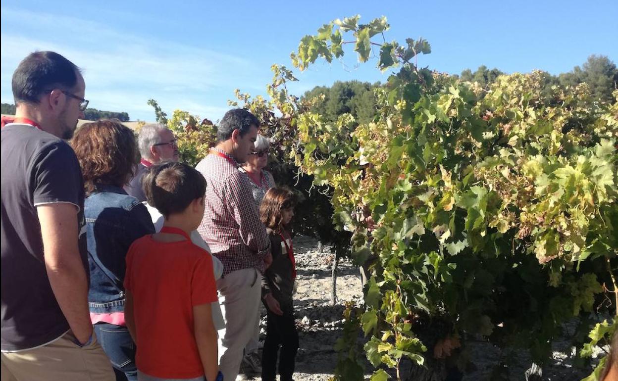 Vendimiario de ediciones pasadas 