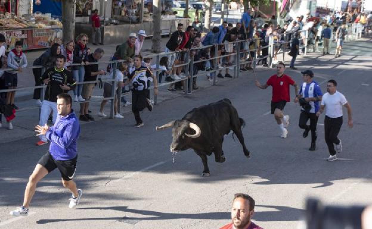 Encierro por las calles de Cuéllar, el pasado agosto. 