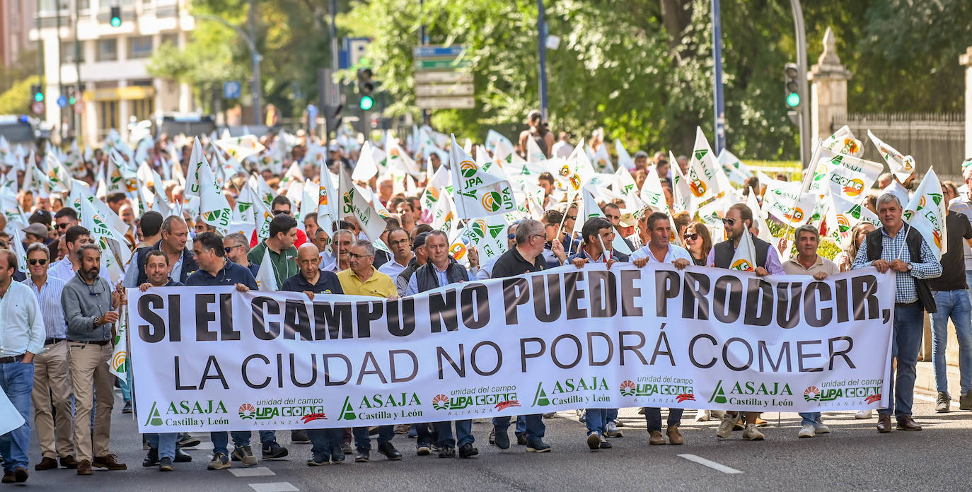 Fotos: agricultores y ganaderos ocupan las calles de Valladolid para salvar al sector