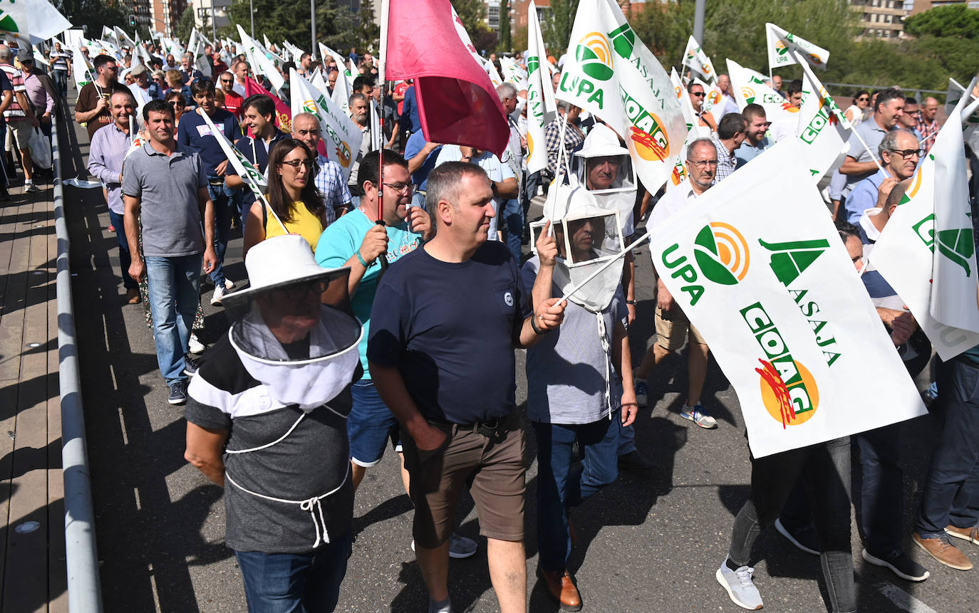 Fotos: agricultores y ganaderos ocupan las calles de Valladolid para salvar al sector