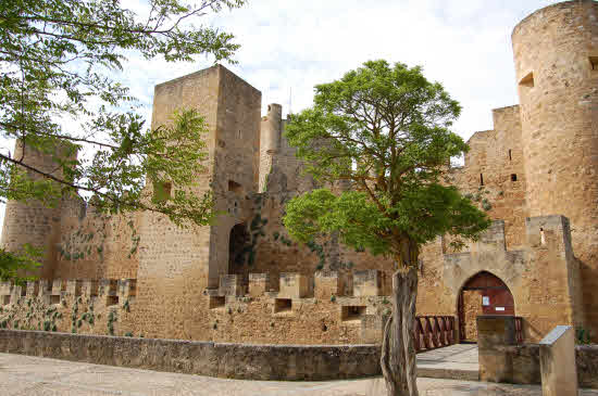 Castillo de Frías (Burgos)