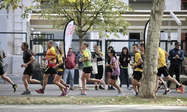 Fotos: La trigésima tercera edición Media Maratón de Valladolid en imágenes (2/2)