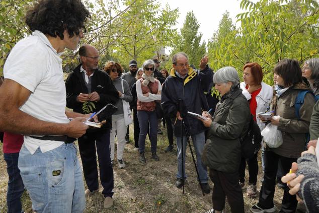Fotos: Feria Ibérica del Tomate de Piñel de Abajo