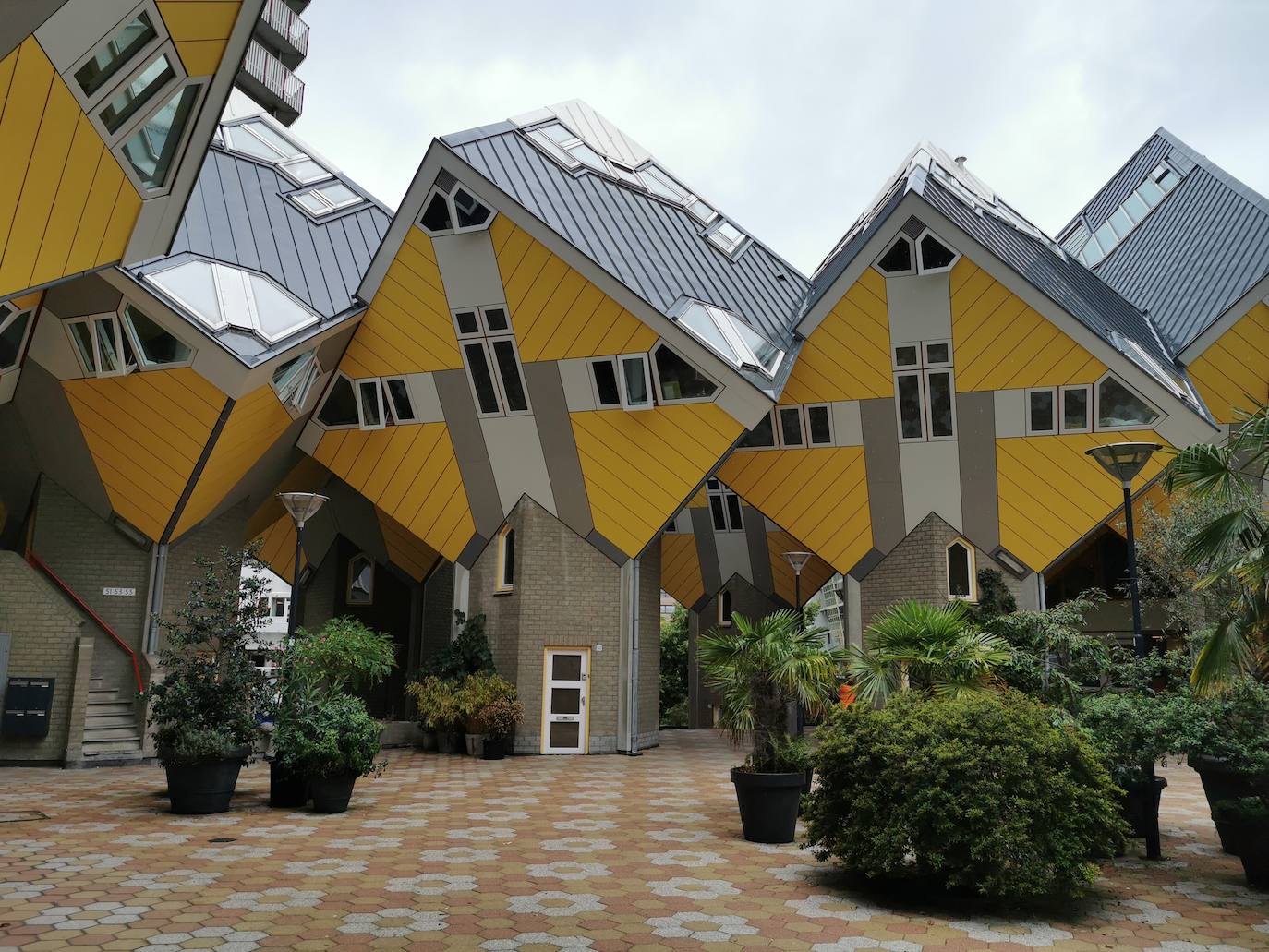 Cada cubo-vivienda se dispuso en su construcción como si fuese un árbol, de tal forma que el conjunto recordara a un bosque.