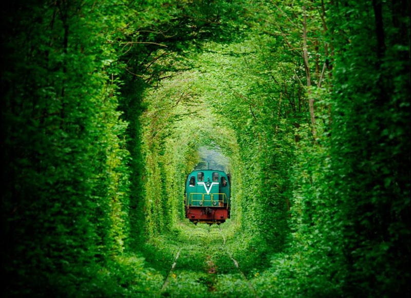 Túnel del Amor (Ucrania) | Muy cerca de un pueblo llamado Klevan, se encuentra una vía ferroviaria de una fábrica de madera que parece sacada de un cuento. El túnel se ha moldeado a partir de las plantas que crecen a los lados.