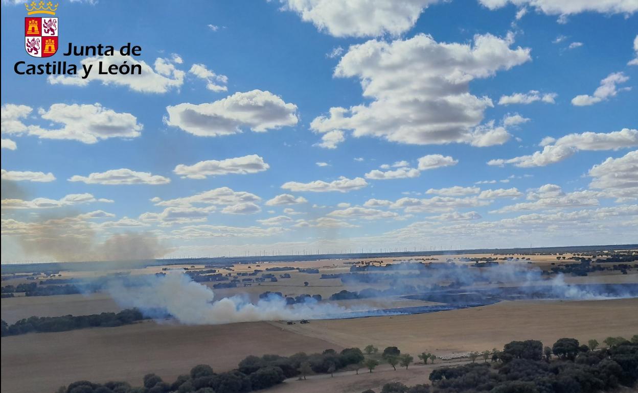 Superficie de rastrojo afectada por las llamas en el término municipal de Cigales. 