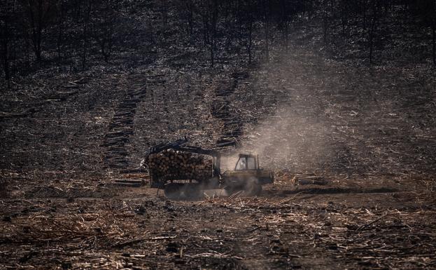 Castilla y León extenderá al invierno 2.500 contratos del operativo contra incendios tras un verano aciago