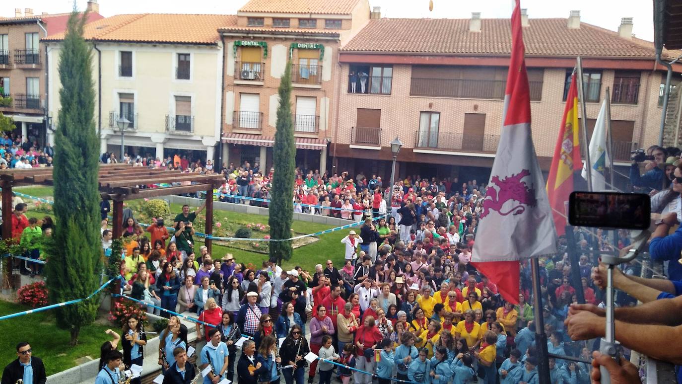 Encierro campero celebrado este miércoles por la tarde en Olmedo.