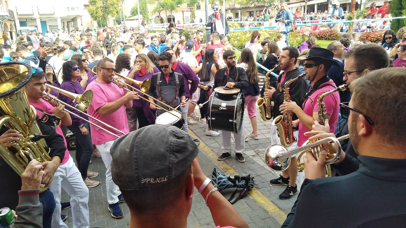 Encierro campero celebrado este miércoles por la tarde en Olmedo.
