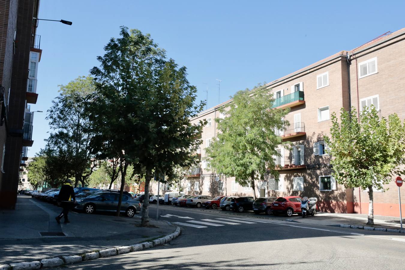 Fotos: El Ayuntamiento de Valladolid mejorará el aspecto de la venida Reyes Católicos de Valladolid