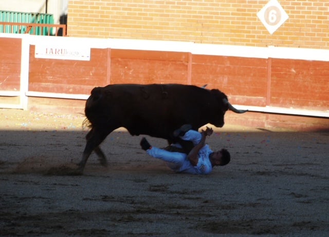 Fotos: Use sufre un revolcón durante el concurso de cortes de Mojados (Valladolid)