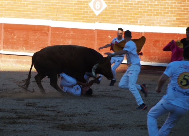 Fotos: Use sufre un revolcón durante el concurso de cortes de Mojados (Valladolid)