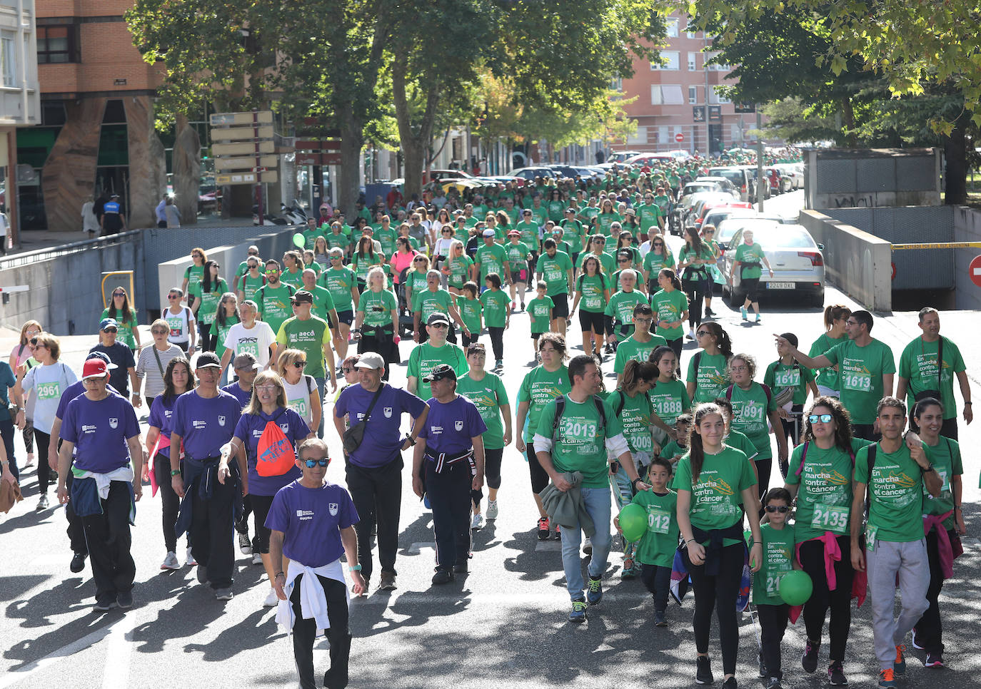 Fotos: Carrera contra el cáncer en Palencia