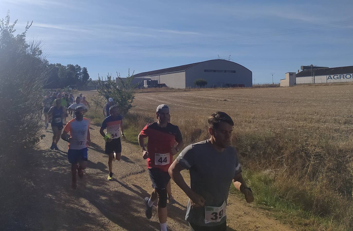 Fotos: Instantáneas de primera prueba del circuito Corriendo entre Viñas 2022 que se celebró en Mayorga