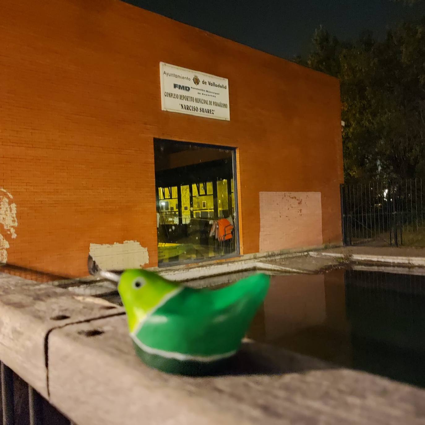 Fotos: Una bandada de reinvidicativos pájaros verdes se posa en las calles de Valladolid