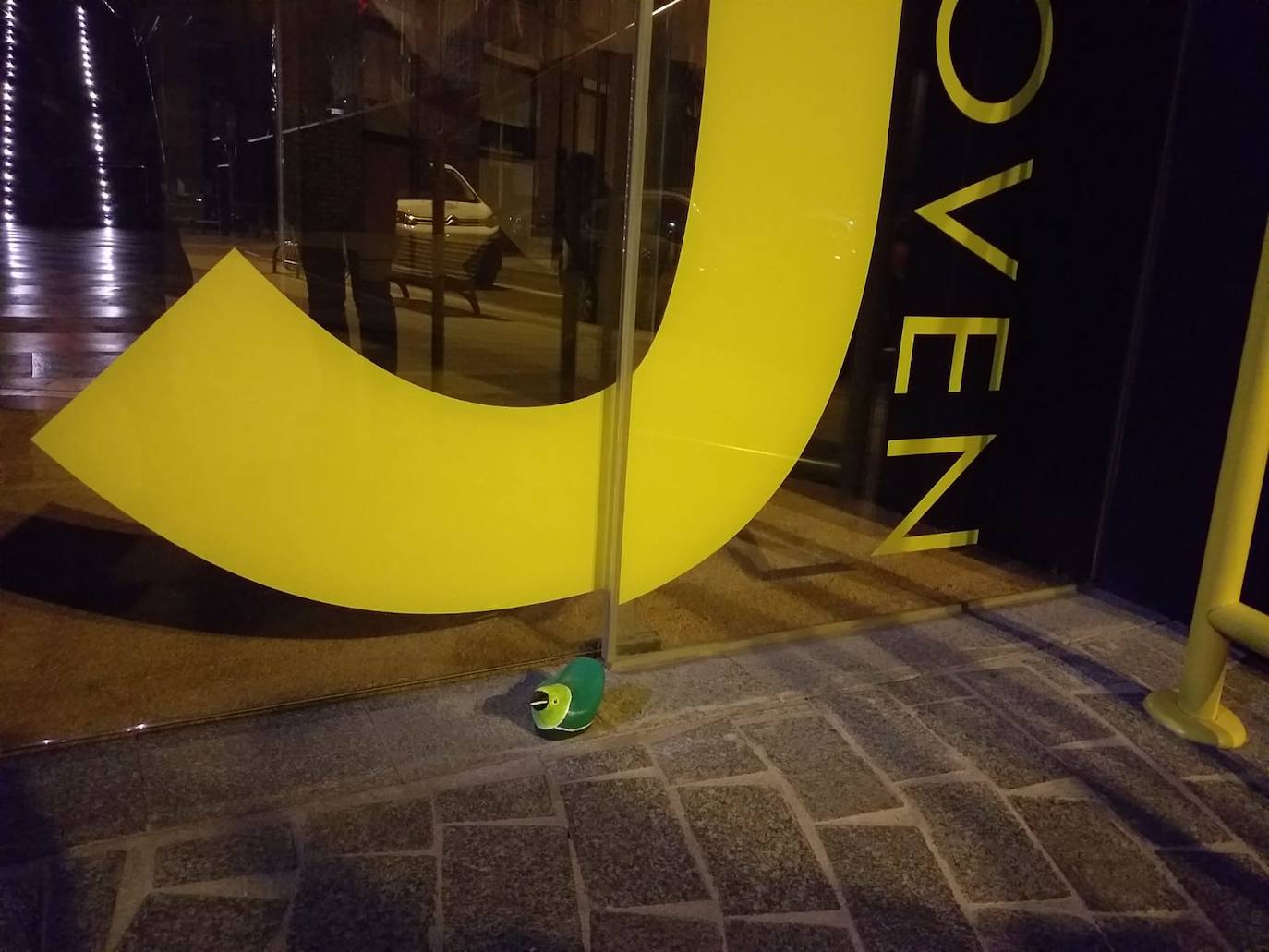 Fotos: Una bandada de reinvidicativos pájaros verdes se posa en las calles de Valladolid