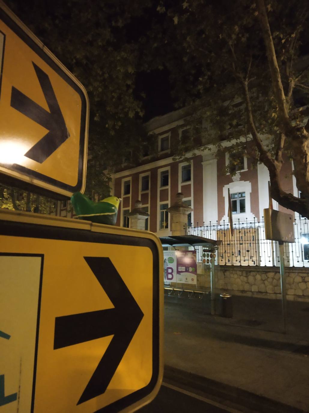 Fotos: Una bandada de reinvidicativos pájaros verdes se posa en las calles de Valladolid