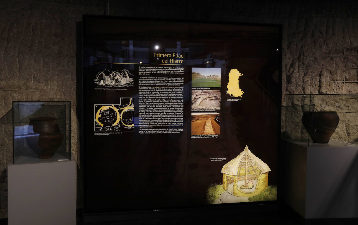 Fotos: El Museo de Palencia reabre tras la última reforma