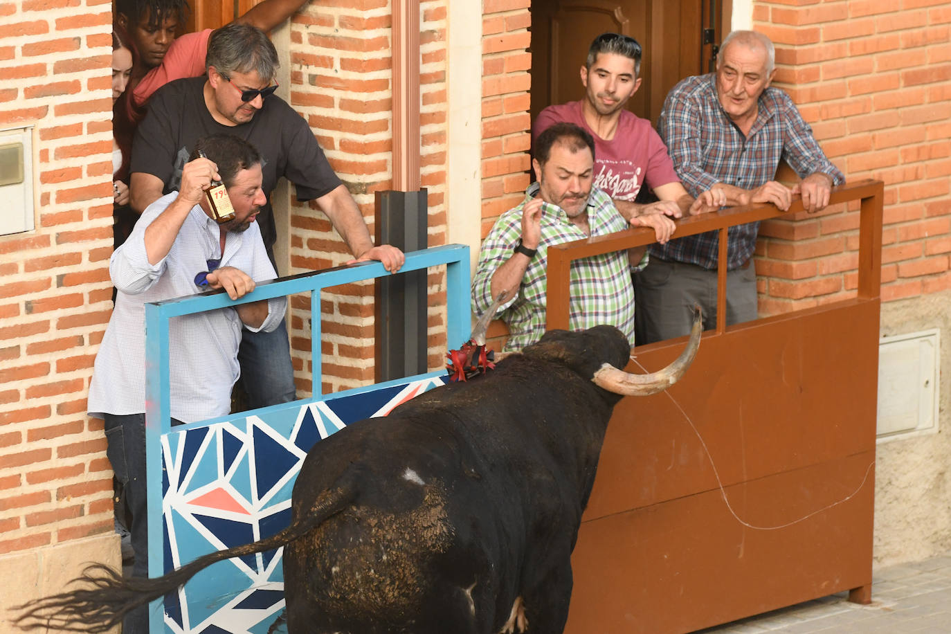 Fotos: Encierro con motivo del Día de la Vendimia en Rueda