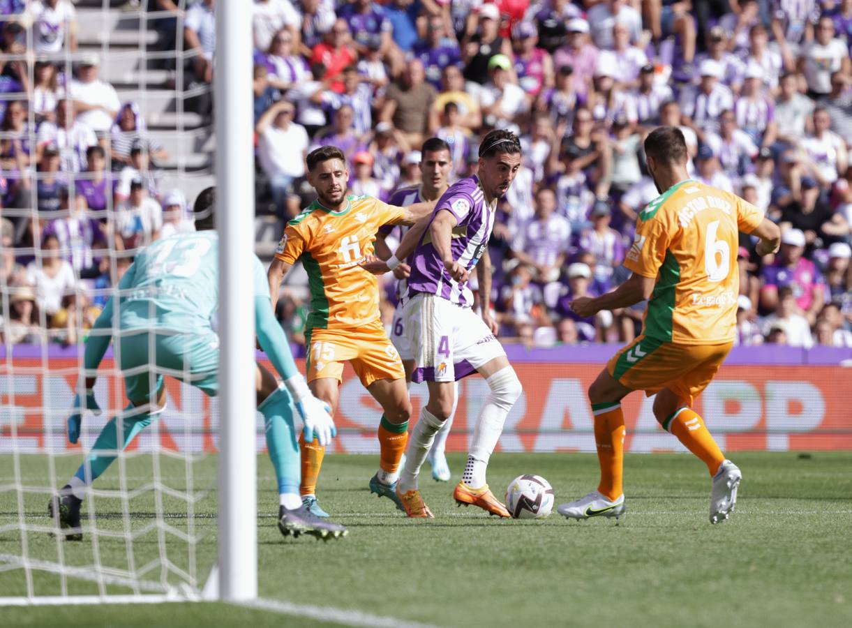 Fotos: Valioso punto del Real Valladolid ante el Betis (2/3)
