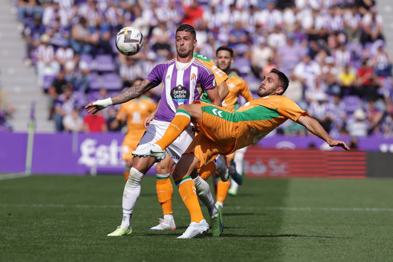 Fotos: Valioso punto del Real Valladolid ante el Betis (3/3)