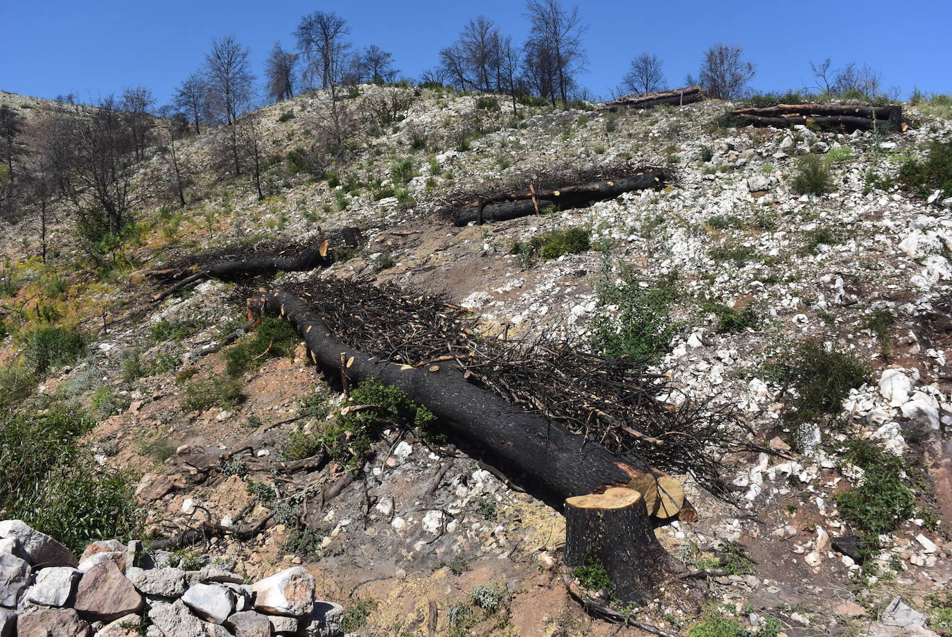 Imagen - Las albarradas son pequeñas presas o diques fabricados con ramas y troncos, o con piedras de la zona, para evitar los arrastres de material a los cauces