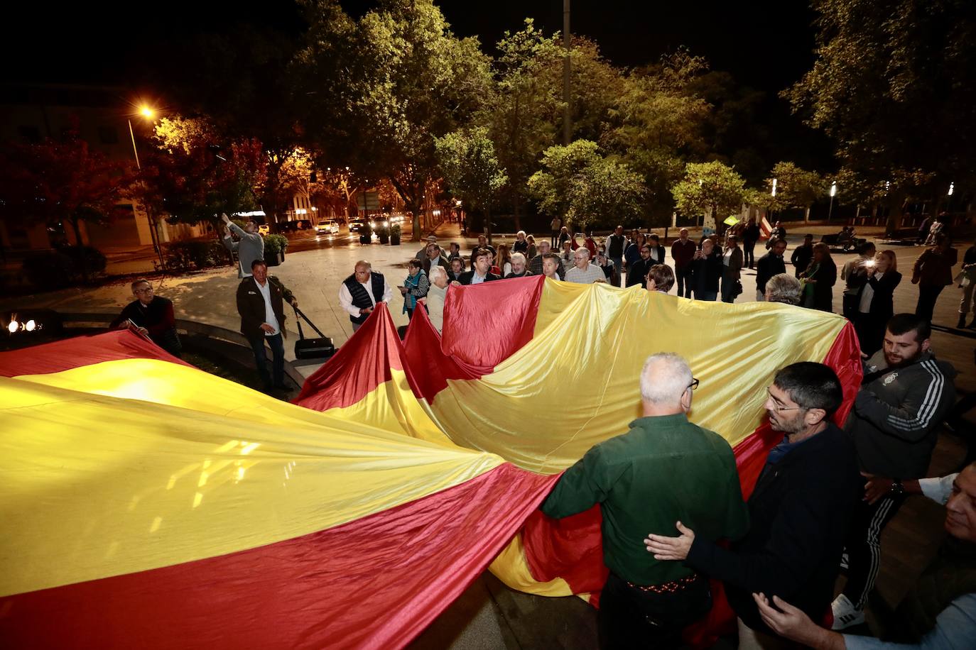 Fotos: VOX despliega una gran bandera de España en la plaza de Colón