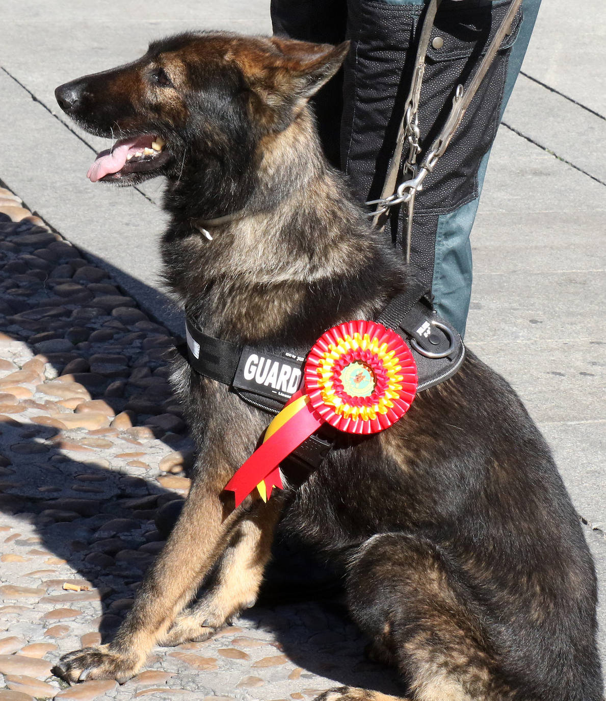 Fiesta de la Guardia Civil en Segovia 