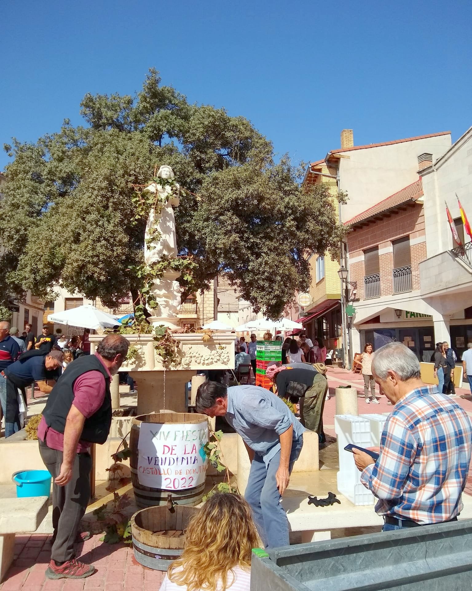 Castrillo de Don Juan se vuelca con la XIV Fiesta de la Vendimia