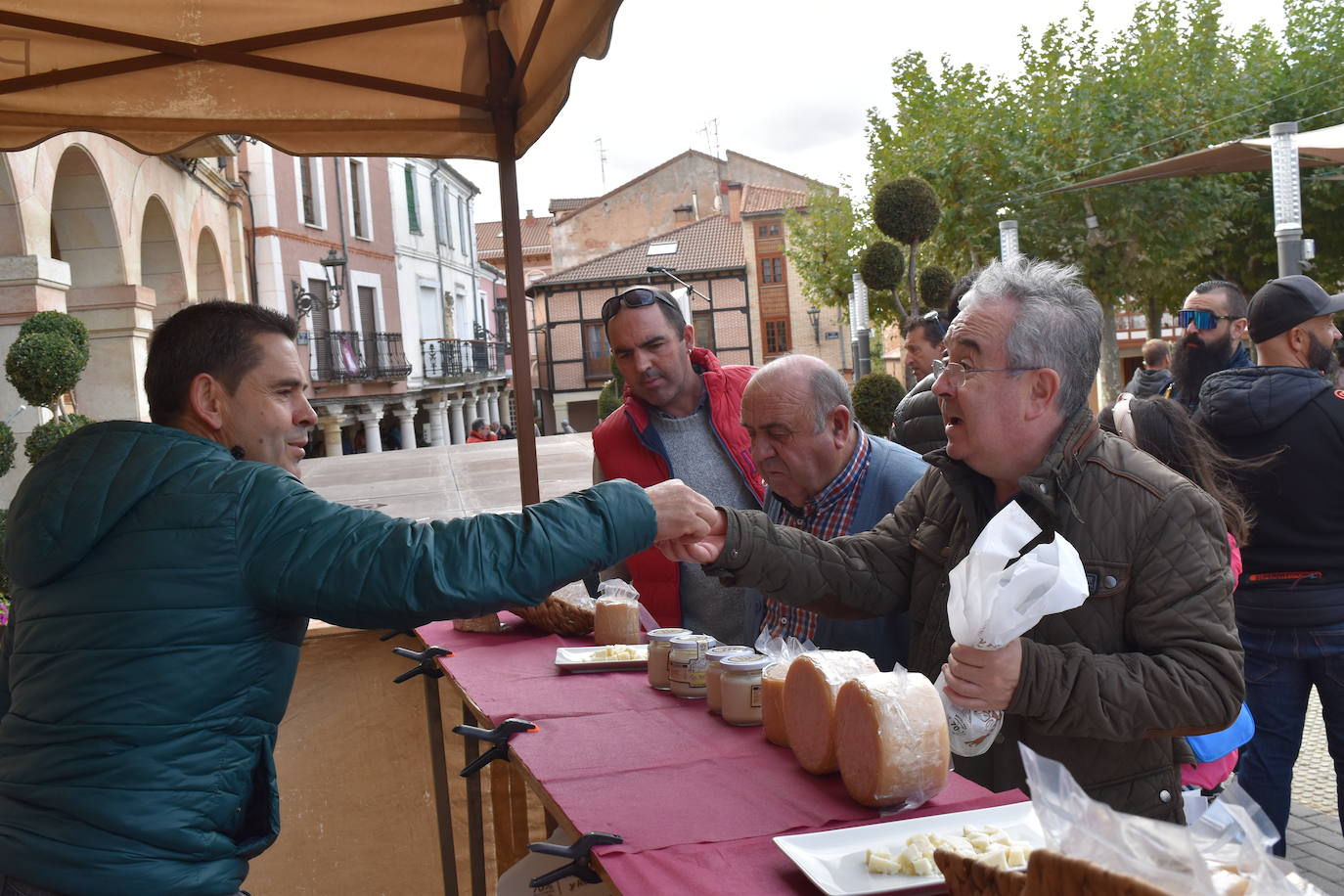 Fotos: Feria de exaltación de la patata del Boedo-Ojeda