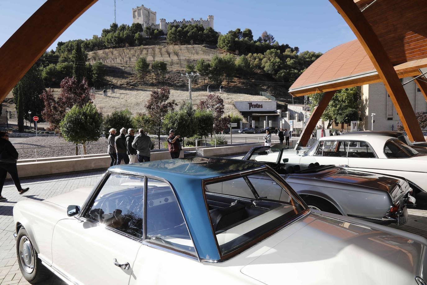 Fotos: Una veintena de coches clásicos de Mercedes visitan Bodegas Protos