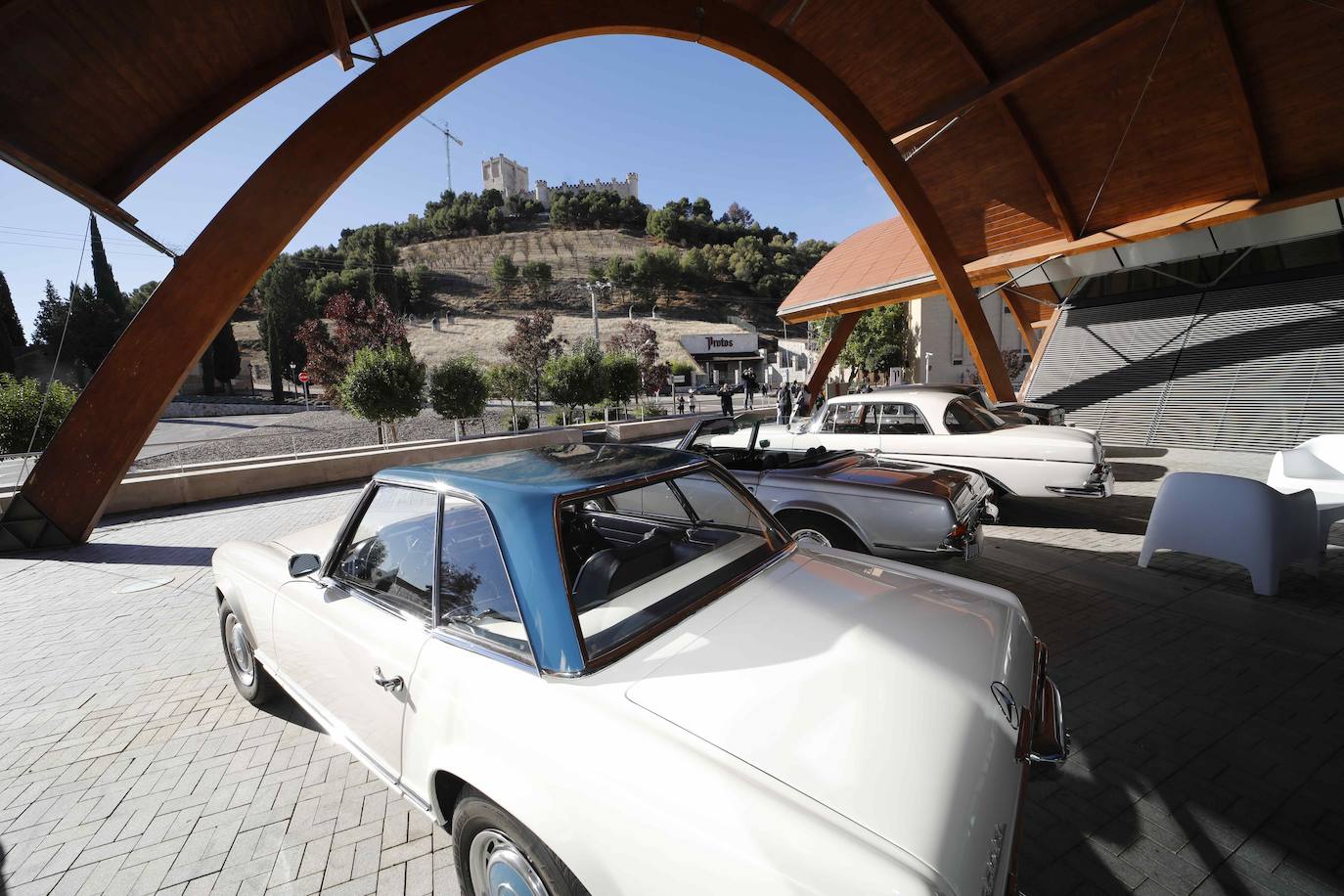 Fotos: Una veintena de coches clásicos de Mercedes visitan Bodegas Protos