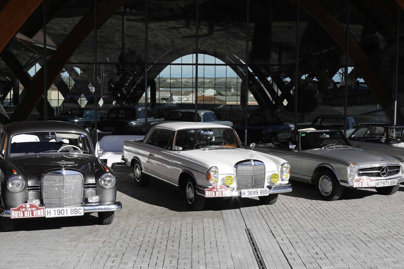 Fotos: Una veintena de coches clásicos de Mercedes visitan Bodegas Protos
