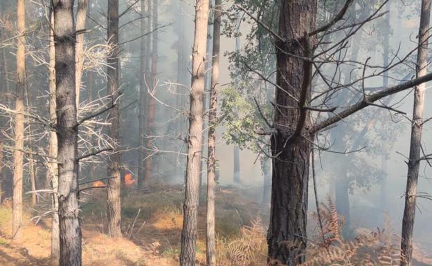 El incendio de Balmaseda llega a territorio de Burgos.