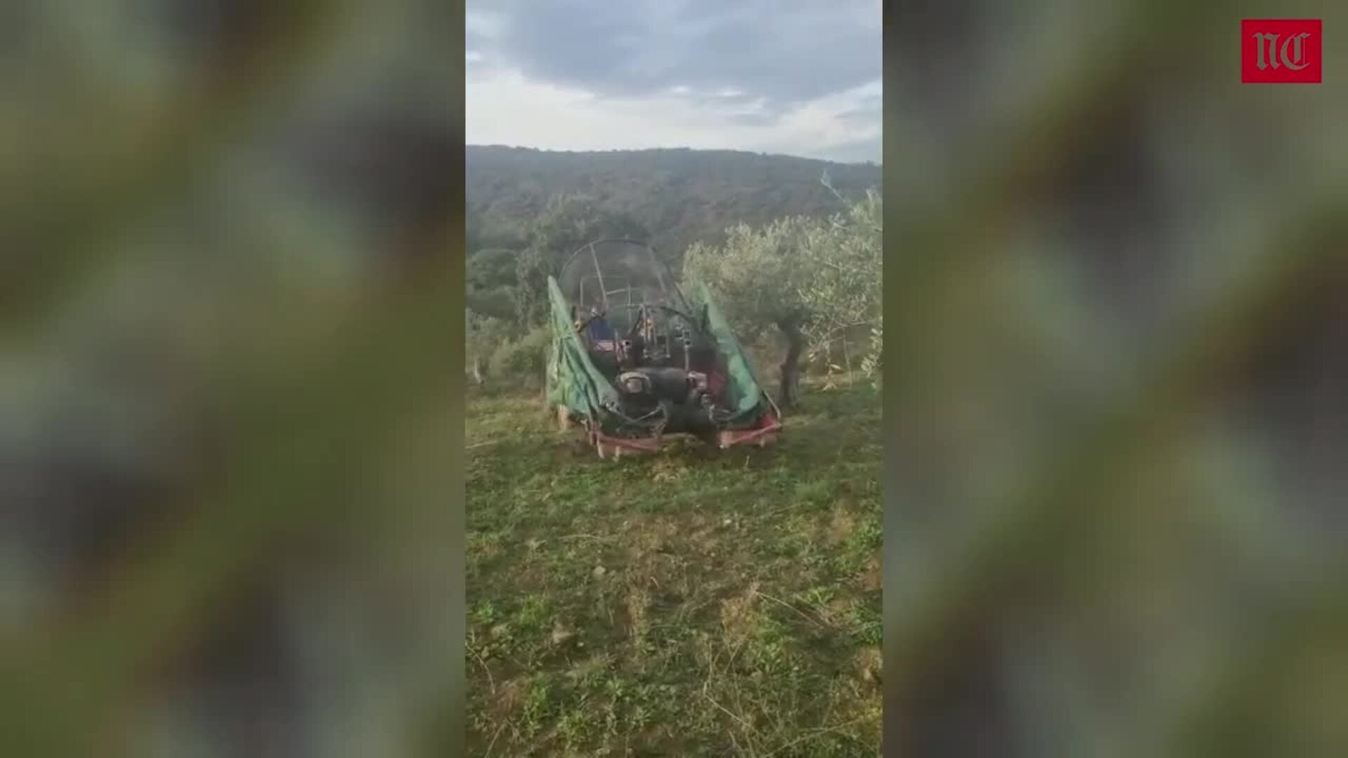 La producción de aceituna en Castilla y León cae un 60%