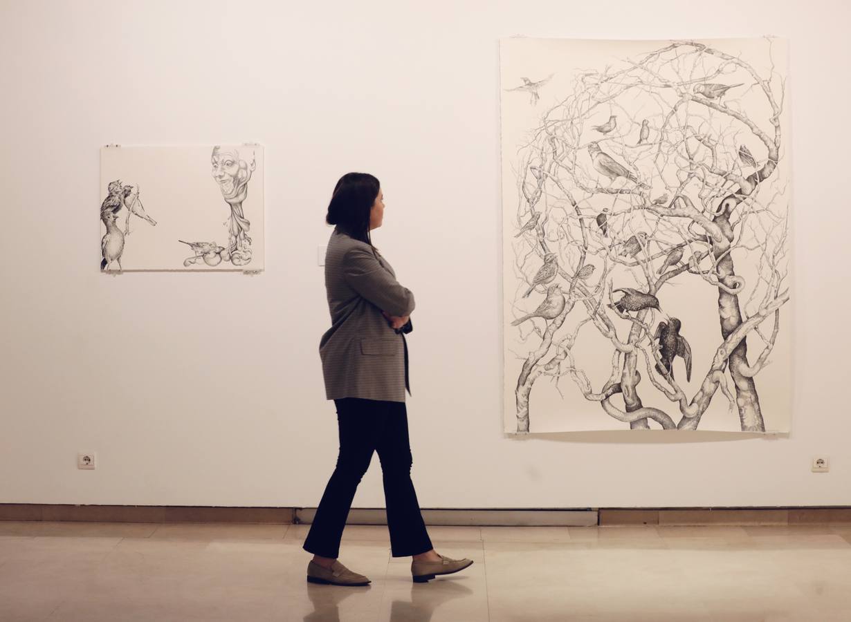 Fotos: Exposición &#039;Menuet&#039; de Jesús Alonso en el Palacio de Pimentel de Valladolid