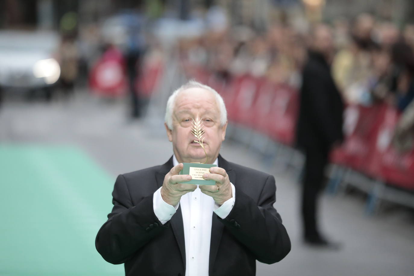 Fotos: Alfombra verde en la clausura de la Seminci 2022 (4/4)