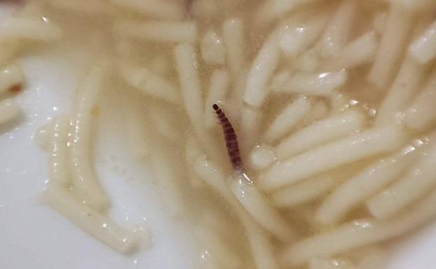 Gusanos en la sopa del personal médico del Hospital de León, que sirve Serunión