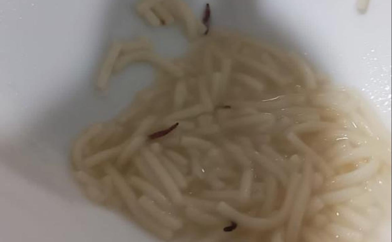 Imagen de los gusanos en la sopa de uno de los médicos del Hospital de León. 