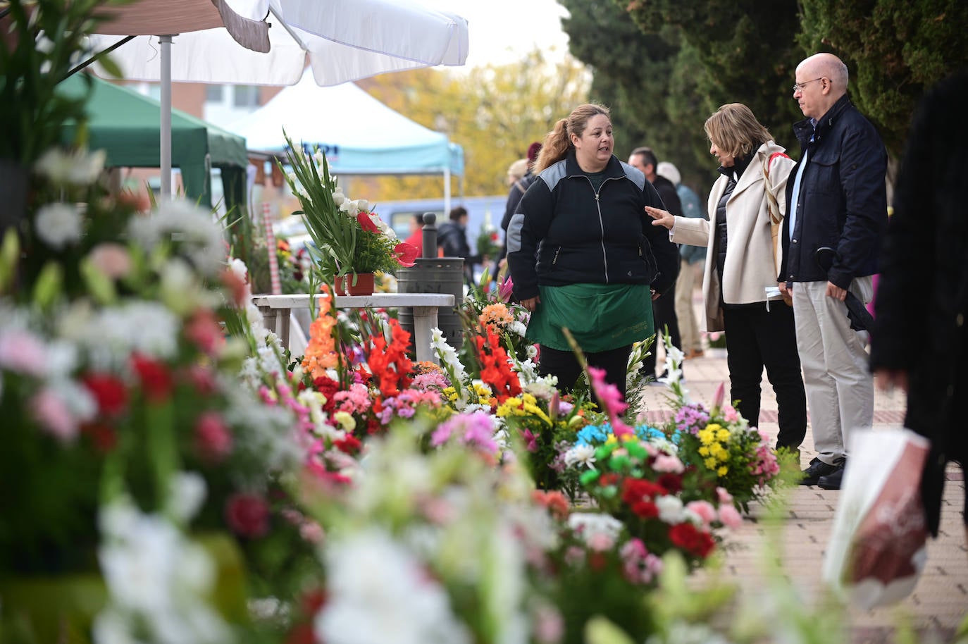 Fotos: El cementerio del Carmen de Valladolid, durante el Día de Todos los Santos