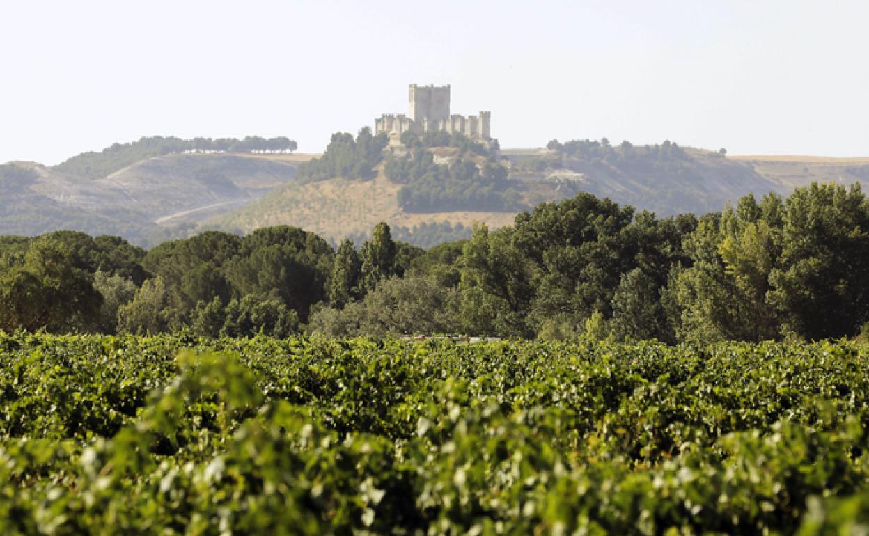 Castillo de Peñafiel 