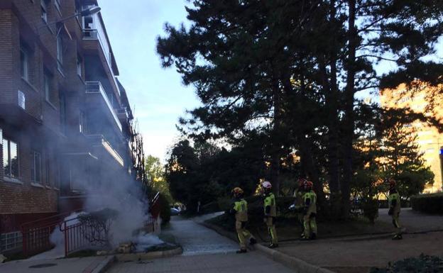 Una dotación de bomberos apaga el fuego en la zona ajardinada con el árbol consumido por las llamas.