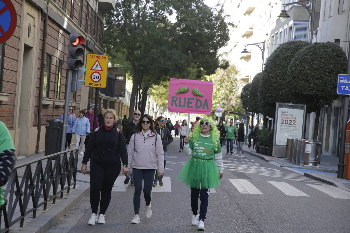 Fotos: La marcha contra el cáncer llena Valladolid de verde