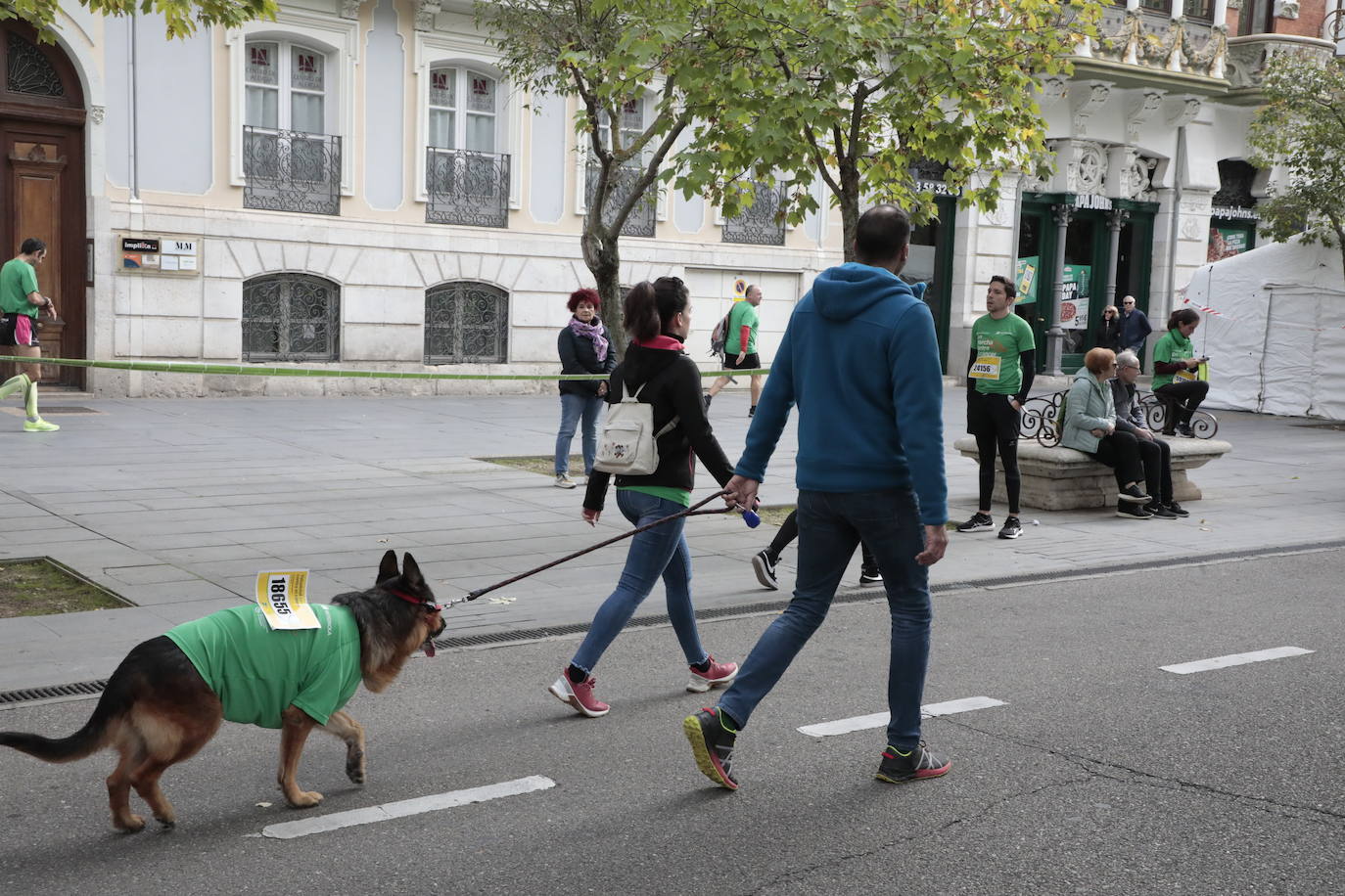 Fotos: La marcha contra el cáncer llena Valladolid de verde