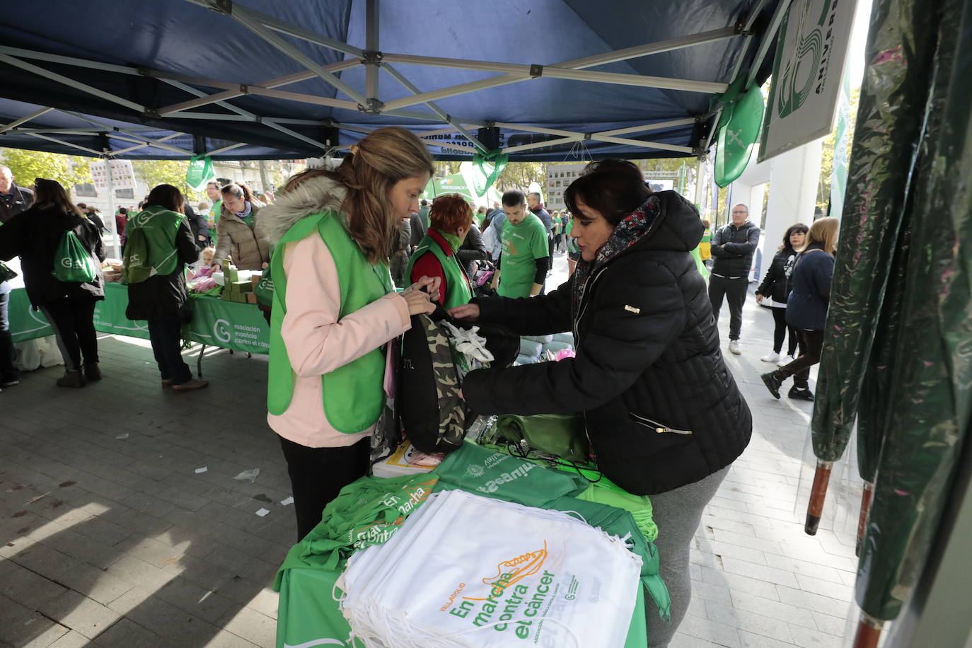 Fotos: La marcha contra el cáncer llena Valladolid de verde