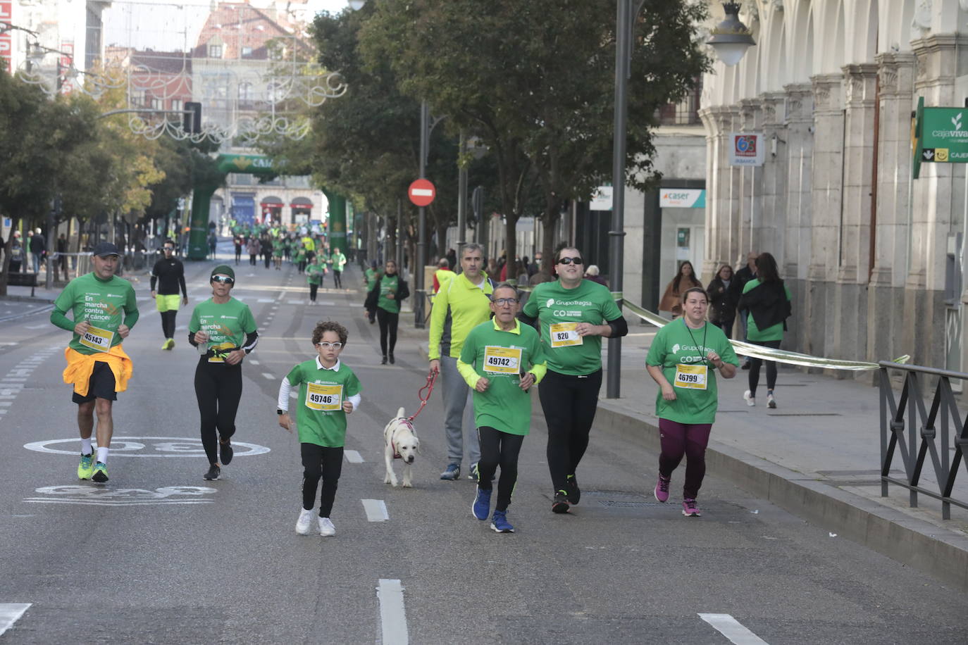 Fotos: La marcha contra el cáncer llena Valladolid de verde